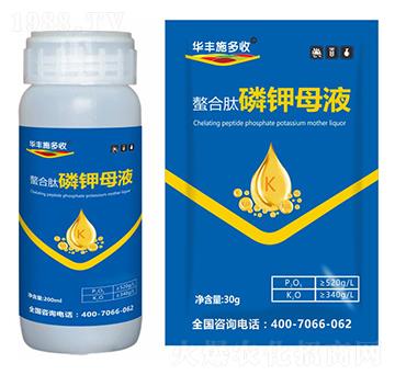 ���������ĸҺ-�A�Sʩ