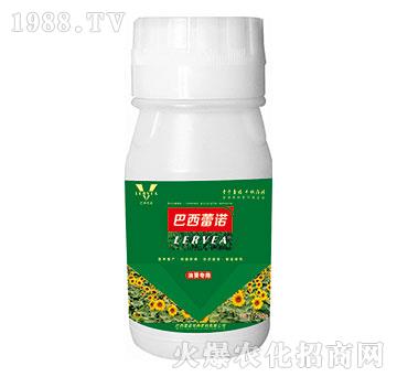 �Ϳ������~���-�������Z