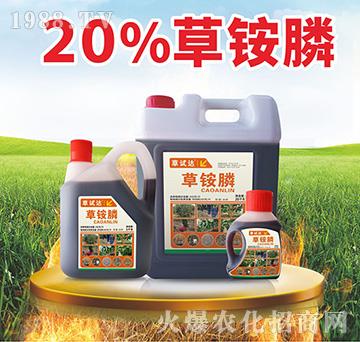 20%���@�-���S����