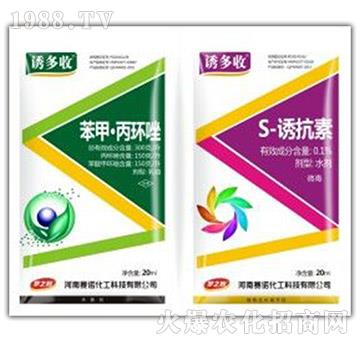 ���ס����h(hu��n)��+S-�T����-�T����-ِ�Z����