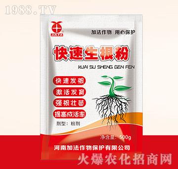 ����������-�ӷ�����