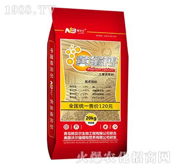 �����{(di��o)�턩-�S���}-��ؐ��