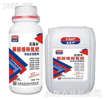 ��ȩ��ጵ���-�����S-���R�S