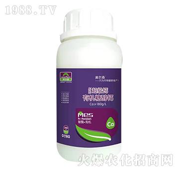 �ЙC�Ǵ��}-����ɭ