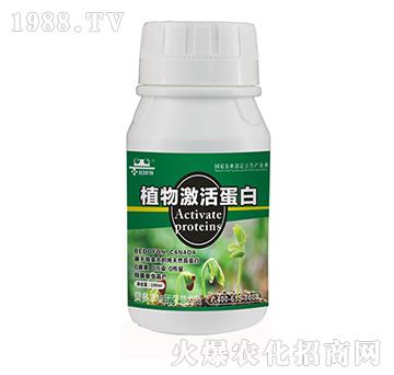 ֲ�ﵰ��-ؐ���S