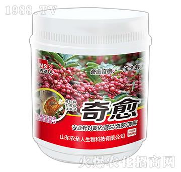 ����-�r(n��ng)ʥ��