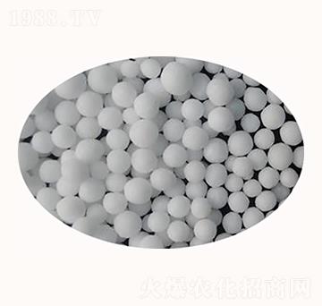 �w�������-����ʘI(y��)