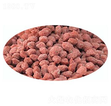 �����@�w��-����