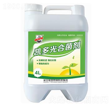 �P���Ͼ���-������