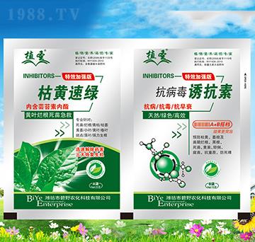 ���S�پG+�������T����-ֲʥ-��Ұ�r(n��ng)��