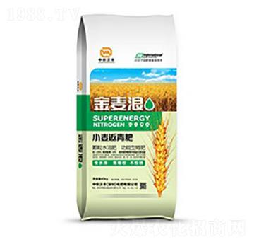 С�������-������-���S����