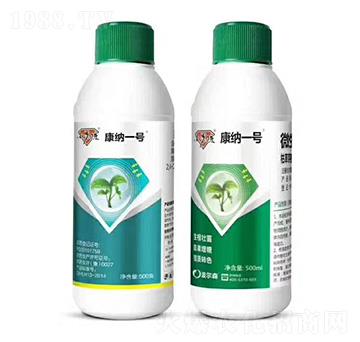 ΢�������-���{һ̖-����ɭ