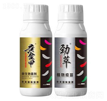 �S�c(di��n)�а��pЧ�M��-̩��(l��i)��(gu��)�H