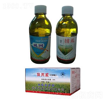 20%���������~�sɢ�� ��¡