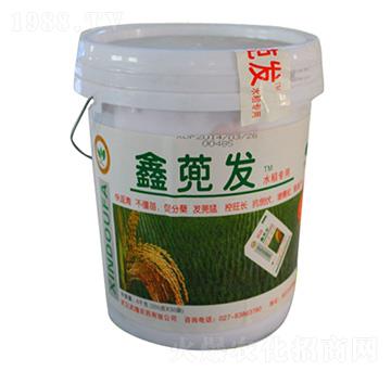 ���{�l(f��)��Ͱ�� ��¡