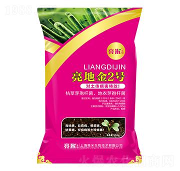 ������������ ���ؽ�2̖ ��������