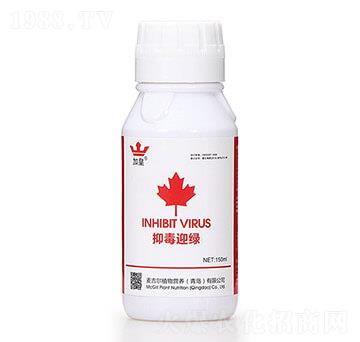 �ֶ�ӭ�G�����β������� �G�ʼt��