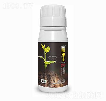 ���oʿ ��������