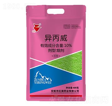 10%������-���A-�t