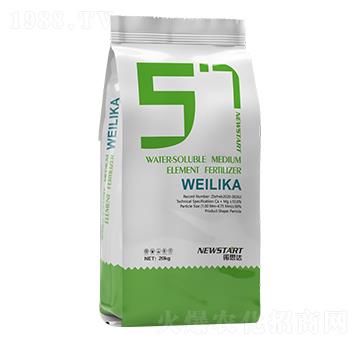 ΢���� �Z˼�_