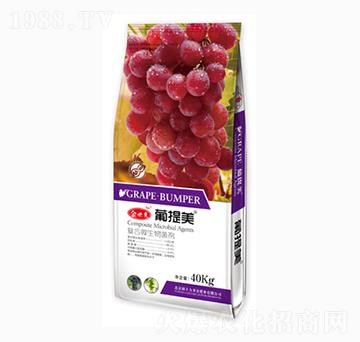 �ͺ�΢�������-������-��؁�