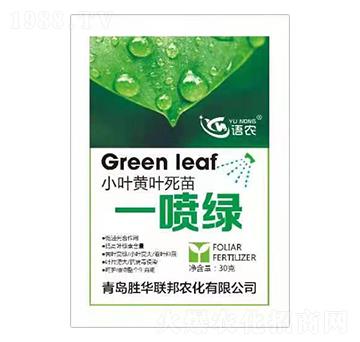 小葉黃葉死苗一噴綠-語(yǔ)農(nóng)-勝華聯(lián)邦