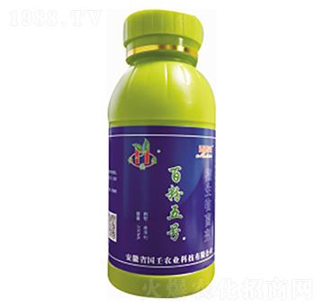 �ٷ���̖-�~��ɭ-�����r�I(y��)