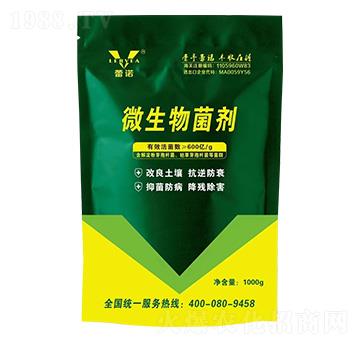 ΢�������-�������Z