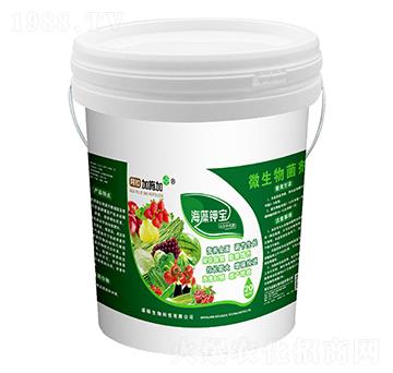 ����⛌�-������ʩ��-ʢ�Z����