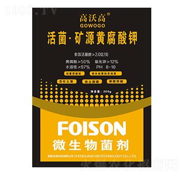 ������VԴ�S�����-���ָ�-ʢ�Z����