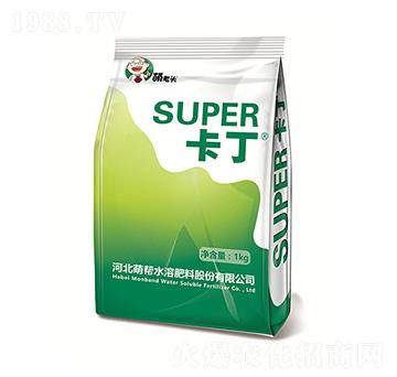 ����-�Ȏ�