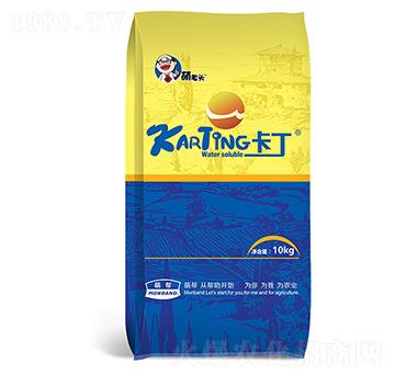 10kg����-�Ȏ�