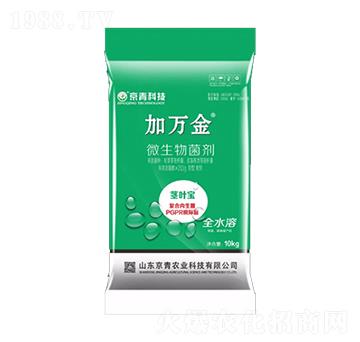 �o�~��΢�������-���f��-����Ƽ�