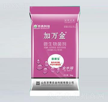 �����΢�������-���f(w��n)��-����Ƽ�