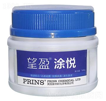 ��ӯͿ��-Ӣ��(gu��)����˹