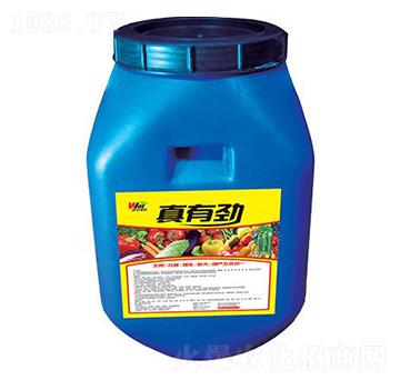 ���Є�-���S���r(n��ng)-���S����