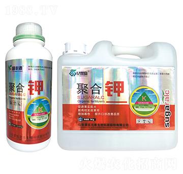 �ۺ��-�|�p�A-����Ԫ��