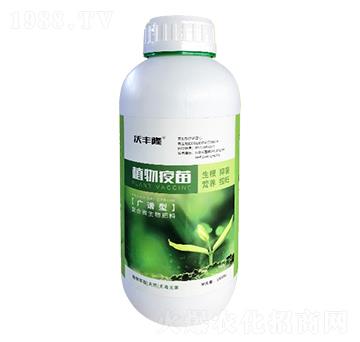 1Lֲ������-��(qi��ng)