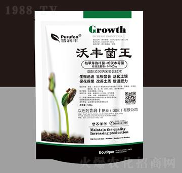 500g���S����-�՝��S