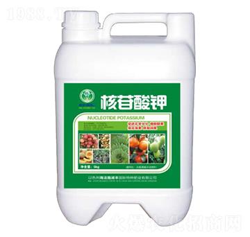 �������-�՝��S