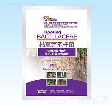 1000g�ݲ�ѿ�ߗU��-�|��Ӣ�Z