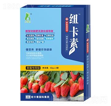 ��ݮ�����Ͷ��ĠI�B(y��ng)Һ-