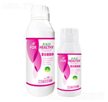 �����Ǵ��-����-�B������