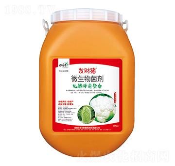 ����ĸ������΢�������-�l(f��)ؔ(c��i)�i-�ﲩʿ