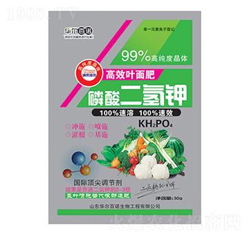 ���������~���-�A�����Z