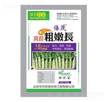 �n�Ĵ����L(zh��ng)-�A�����Z