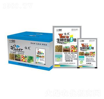 ��������1̖(h��o)-�A�����Z