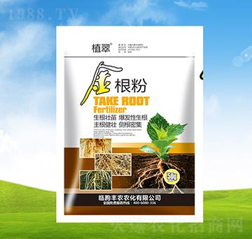 ���y��-ֲ��-�S�r�r��