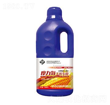 Ħ�������׌���׷��-������