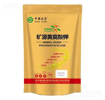 �VԴ�S�����-�Ї��r�Y-���r